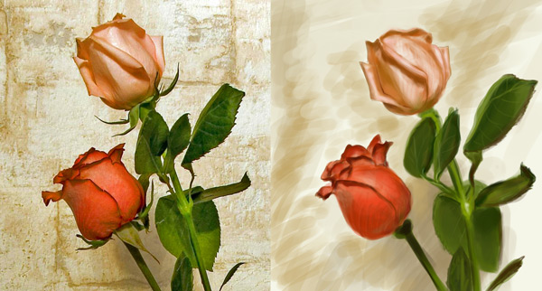 cg_rose.jpg