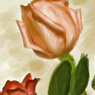 Computer graphics. Study of the painting from the color spot